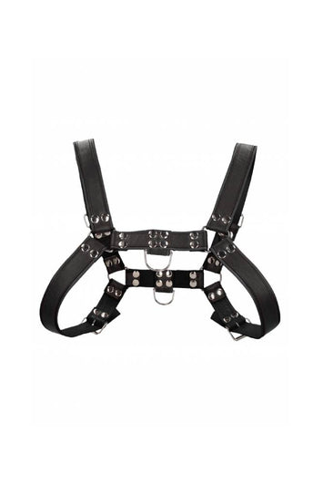 Ouch by Shots Toys - Premium Leather Bulldog Chest Harness - Black - Stag Shop