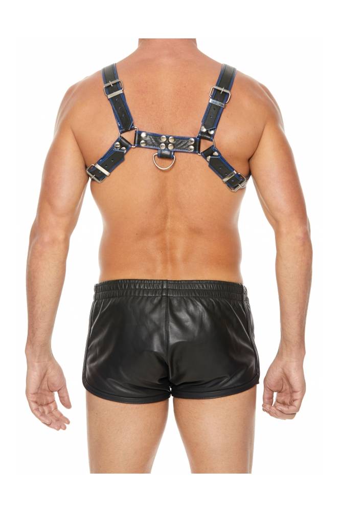 Ouch by Shots Toys - Premium Leather Bulldog Chest Harness - Black/Blue - Stag Shop