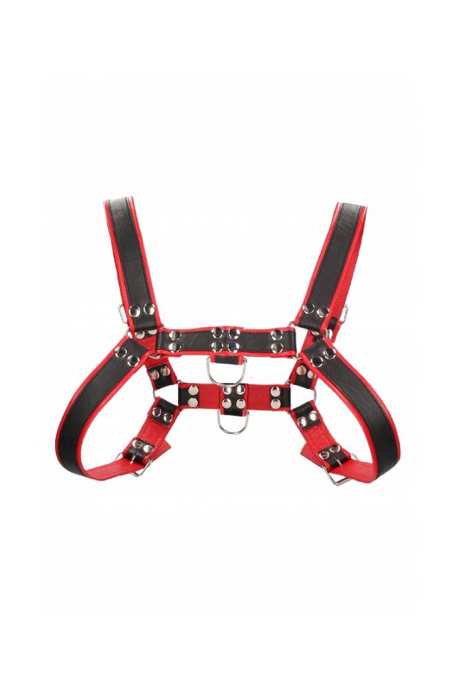 Ouch by Shots Toys - Premium Leather Bulldog Chest Harness - Black/Red - Stag Shop