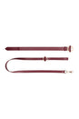 Ouch by Shots Toys - Halo - Collar with Leash - Burgundy - Stag Shop