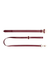 Ouch by Shots Toys - Halo - Collar with Leash - Burgundy - Stag Shop