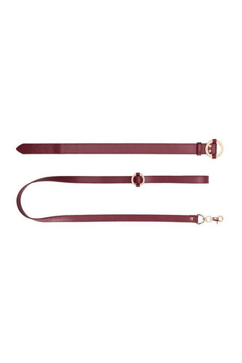 Ouch by Shots Toys - Halo - Collar with Leash - Burgundy - Stag Shop
