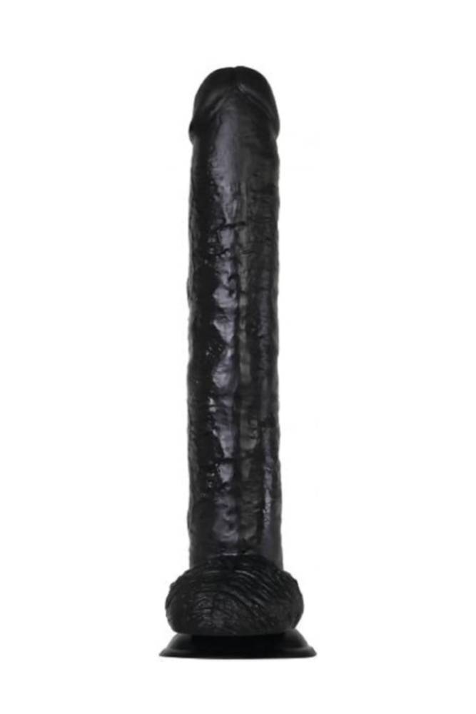 Adam & Eve - Dark Rider 15 Inch Dildo - Black - Stag Shop