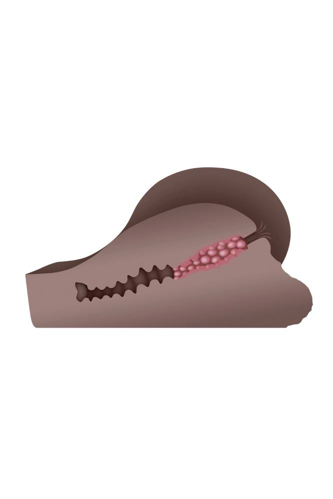 Evolved - Gender X - A Handful - Male Ass Masturbator - Dark - Stag Shop