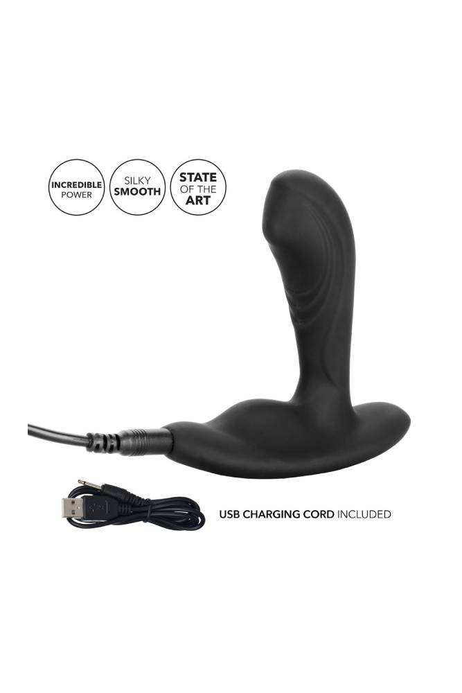 Cal Exotics - Eclipse - Tapered Roller Ball Anal Probe - Black - Stag Shop