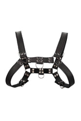 Ouch By Shots Toys - Bulldog Chest Harness - Black - Stag Shop