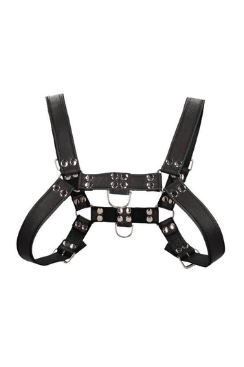 Ouch By Shots Toys - Bulldog Chest Harness - Black - Stag Shop