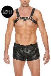 Ouch By Shots Toys - Bulldog Chest Harness - Black - Stag Shop