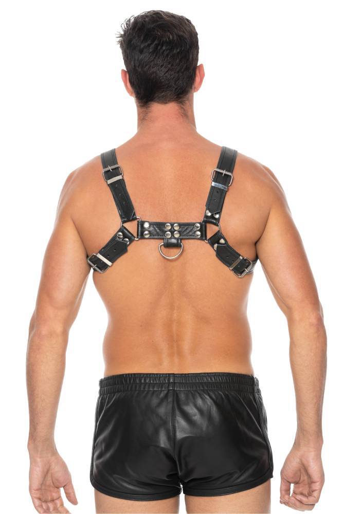 Ouch By Shots Toys - Bulldog Chest Harness - Black - Stag Shop