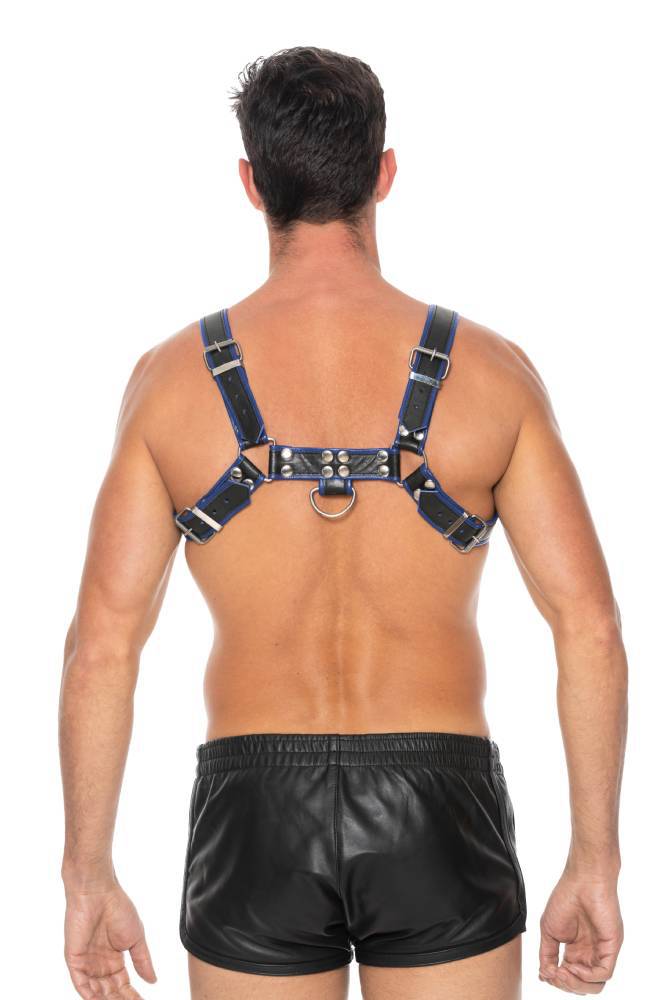 Ouch by Shots Toys - Bulldog Chest Harness - Blue - Stag Shop