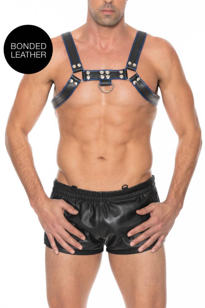 Ouch by Shots Toys - Bulldog Chest Harness - Blue - Stag Shop