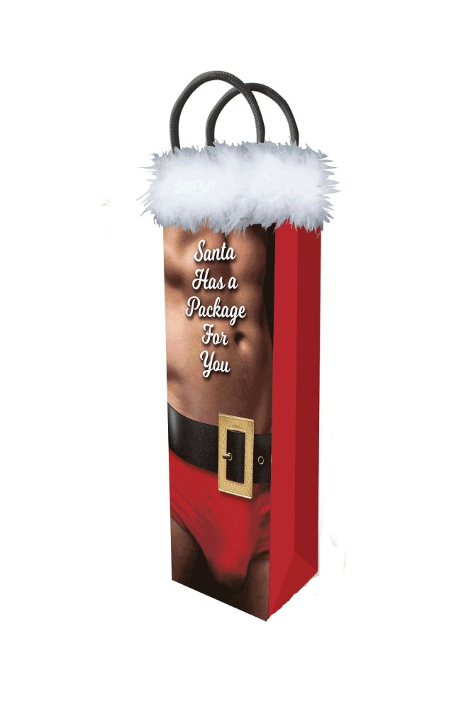 Little Genie - Santa Has a Package for You Gift Bag - Stag Shop