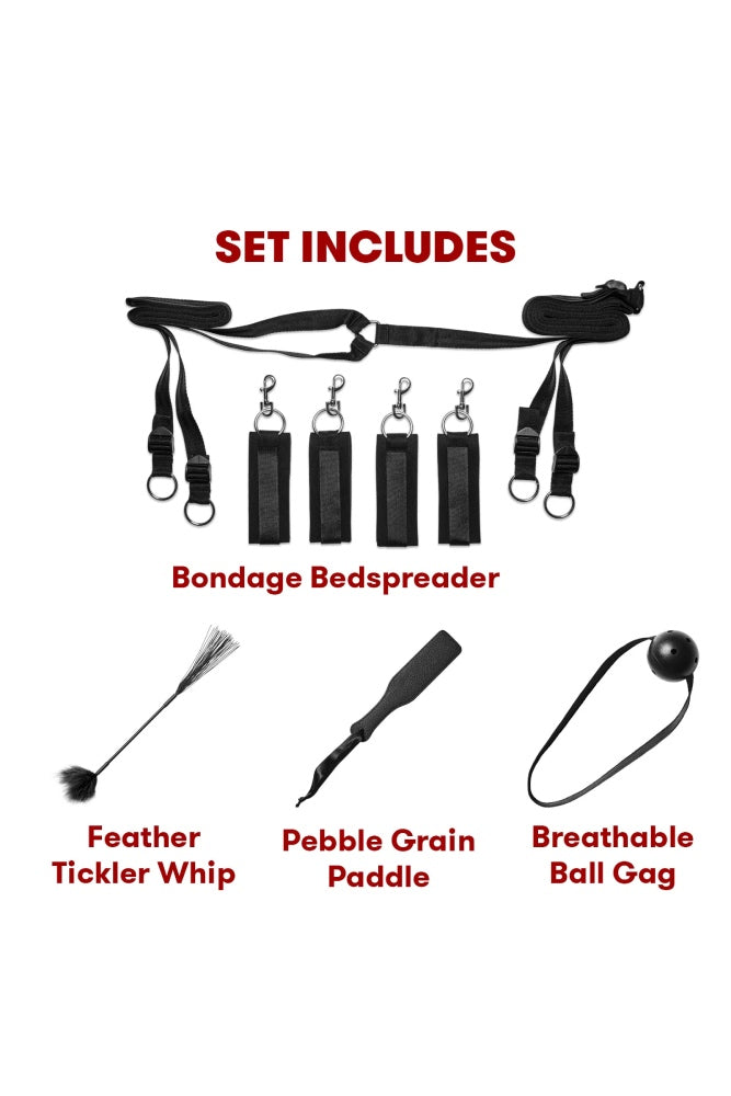 Electric Eel - Lux Fetish - Everything You Need BDSM In-A-Box 20PC Bedspreaders Set - Stag Shop