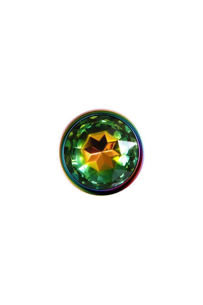 Evolved - Rainbow Metal Butt Plug - Small - Stag Shop