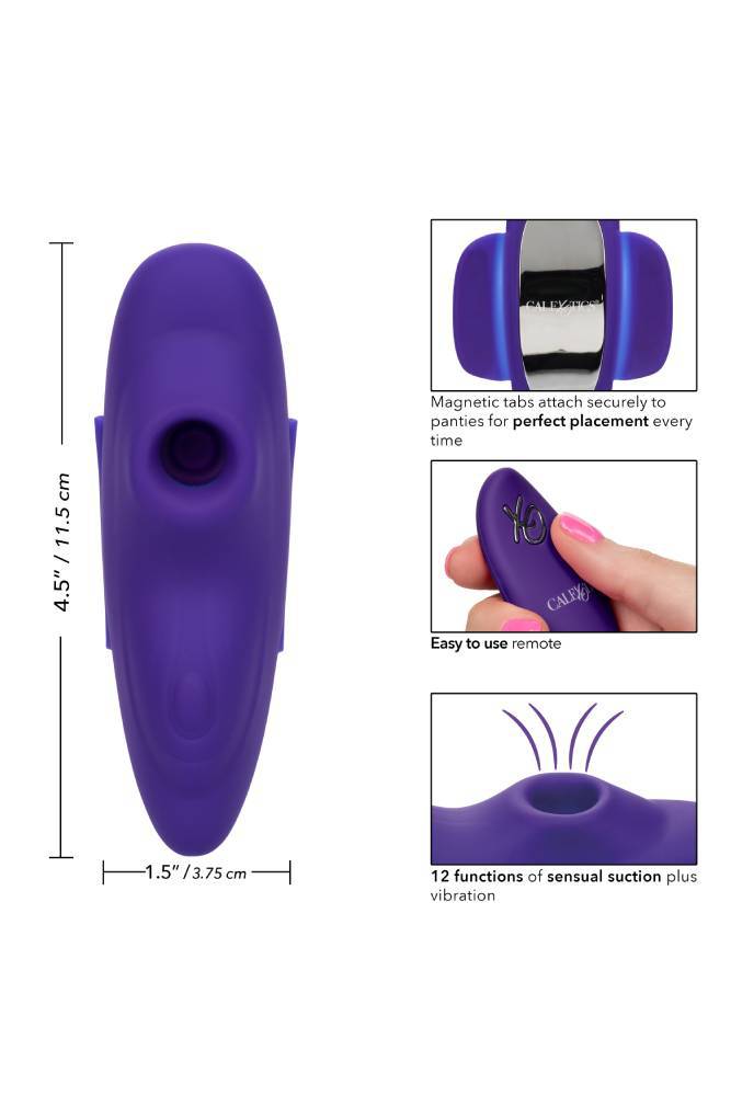 Cal Exotics - Lock-N-Play Remote Suction Panty Teaser - Purple - Stag Shop