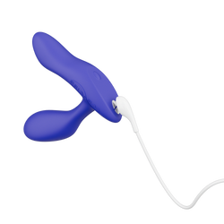 We-Vibe - Vector + Prostate Massager - Royal Blue - Stag Shop