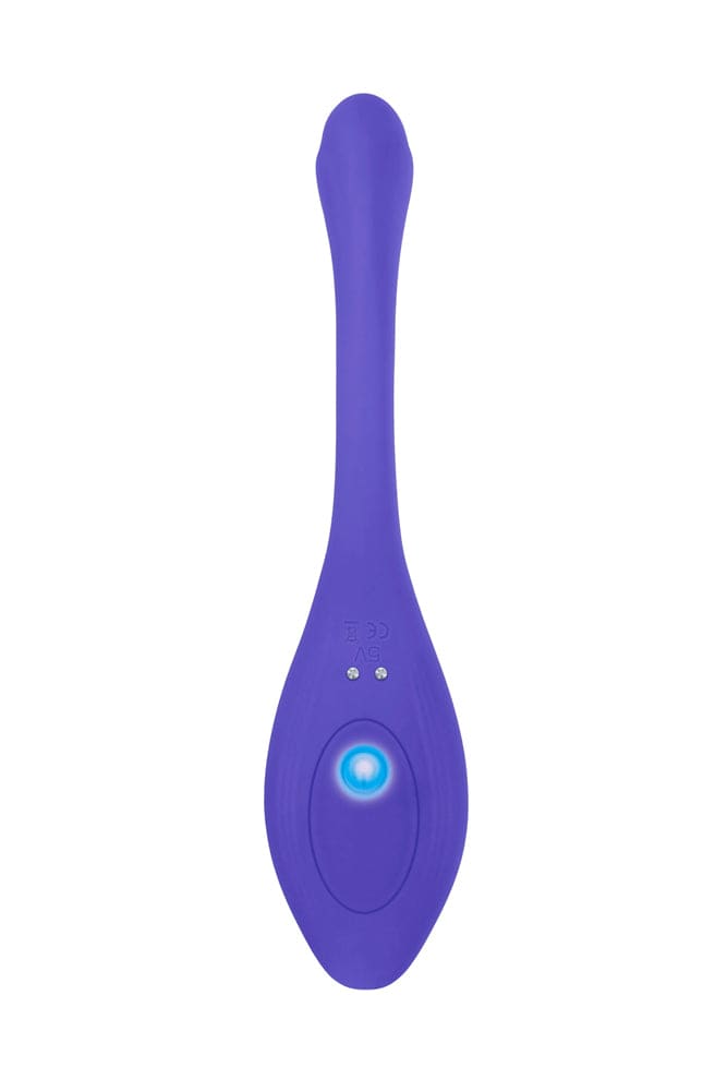 Evolved - Anywhere Remote Control Vibrator - Periwinkle - Stag Shop