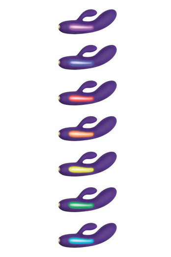Evolved - Aurora Mood Light Dual Vibrator - Purple - Stag Shop