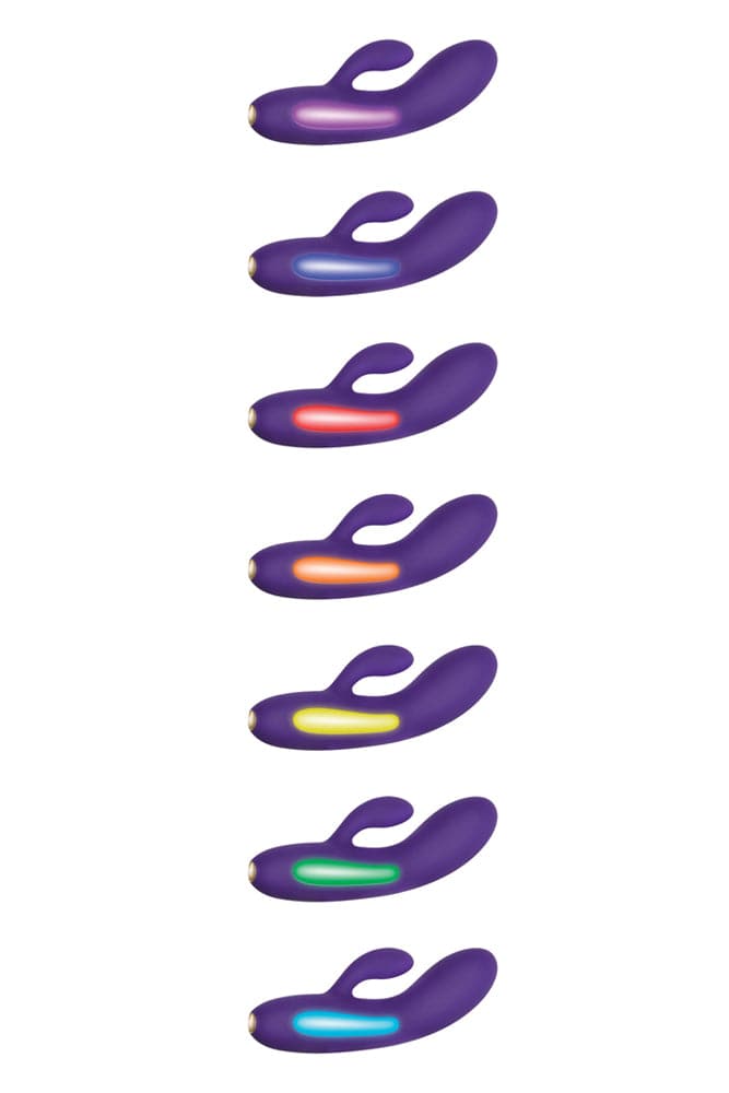 Evolved - Aurora Mood Light Dual Vibrator - Purple - Stag Shop