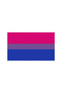 Stag Shop - Pride Flag - Bisexual - 3' x 5' - Stag Shop