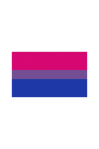 Stag Shop - Pride Flag - Bisexual - 3' x 5' - Stag Shop