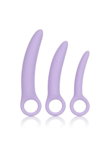 Cal Exotics - Dr. Laura Berman - Alena 3-Piece Silicone Dilator Set - Purple - Stag Shop