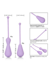 Cal Exotics - Dr. Laura Berman - Silicone Weighted Kegel Set - Purple - Stag Shop