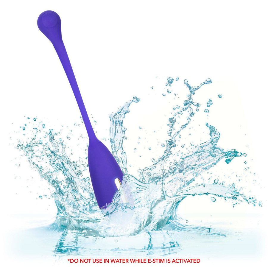 Cal Exotics - Impulse - Intimate E-Simulator Remote Kegel Exerciser - Purple - Stag Shop