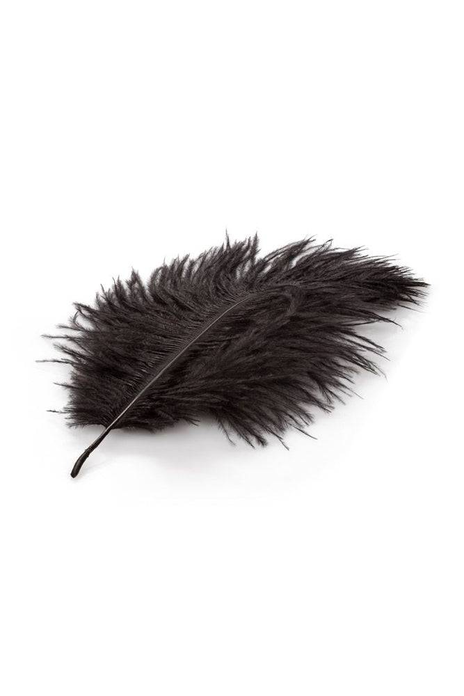 Cal Exotics - Our Date Night Kit - 5 PC - Stag Shop