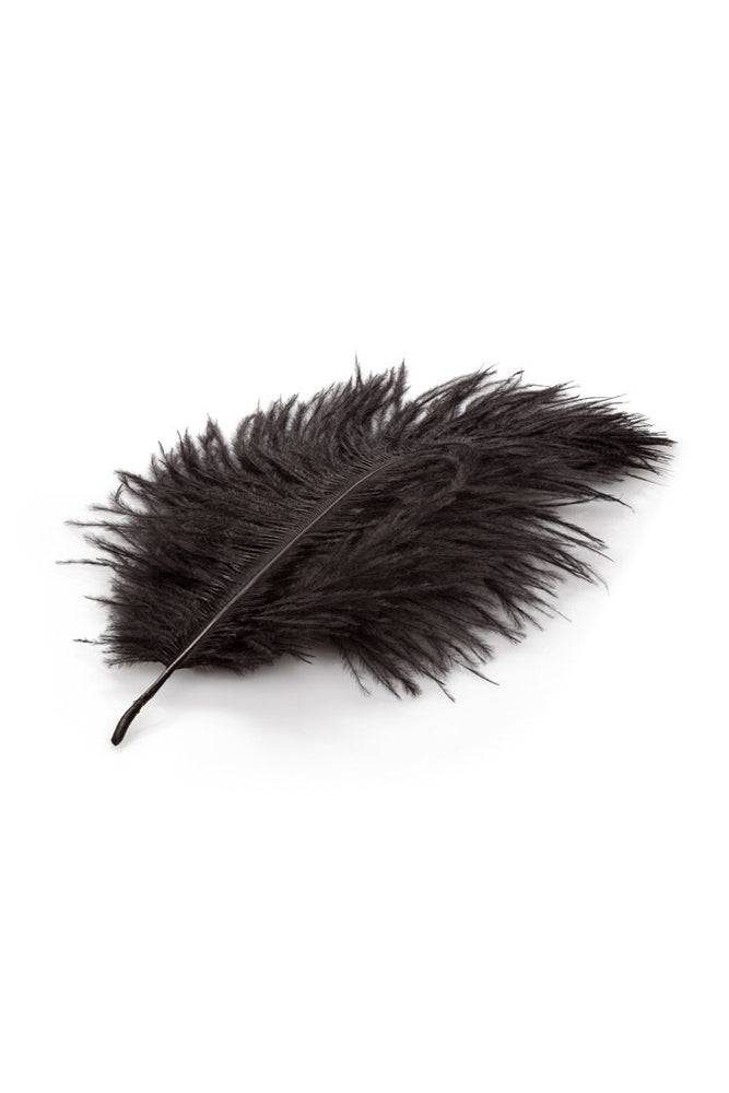 Cal Exotics - Our Fetish Kit - Stag Shop