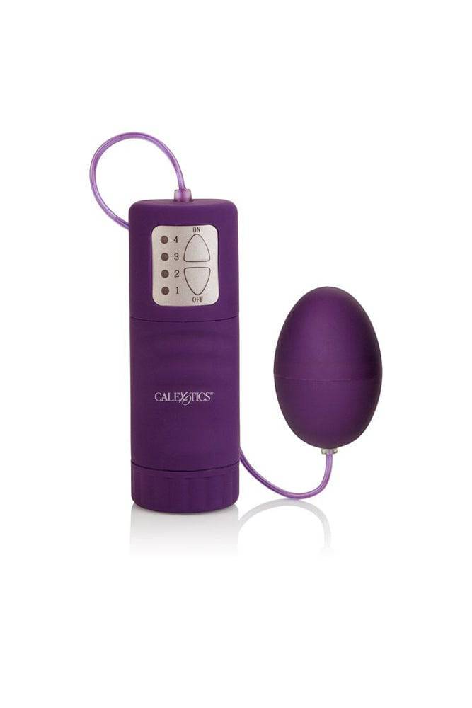 Cal Exotics - Pocket Exotics - Waterproof Egg Vibrator - Purple - Stag Shop
