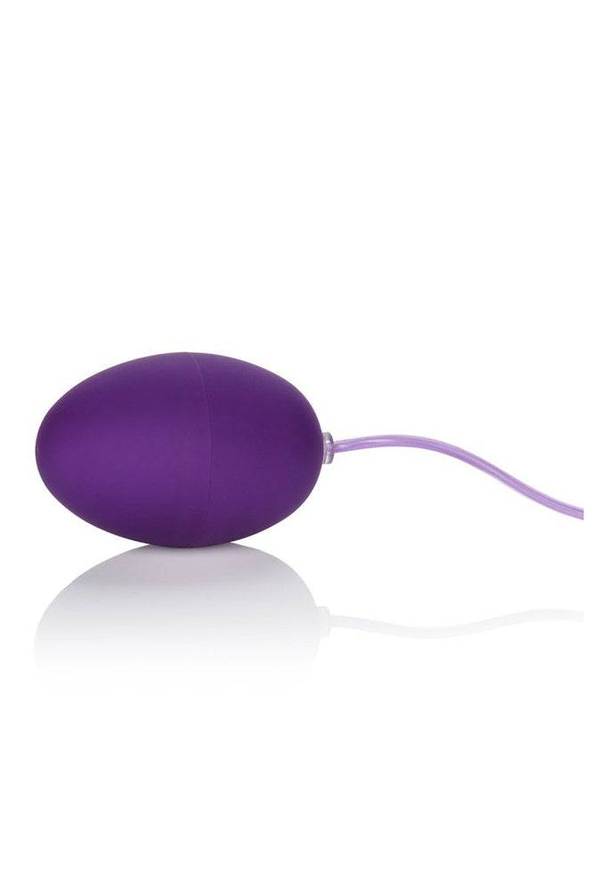 Cal Exotics - Pocket Exotics - Waterproof Egg Vibrator - Purple - Stag Shop