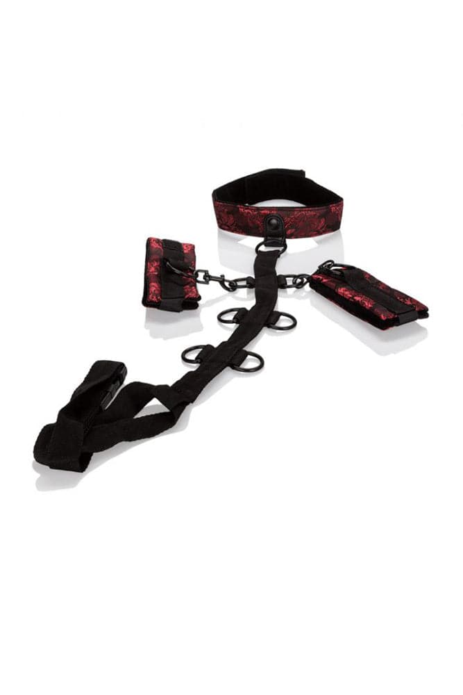 Cal Exotics - Scandal - Collar Body Restraint - Stag Shop