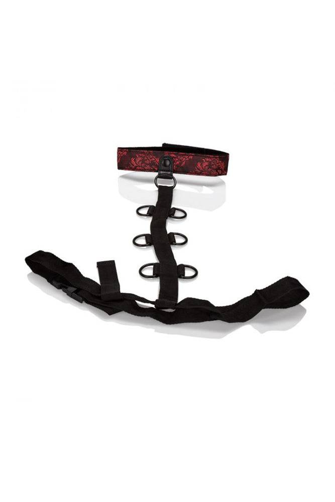 Cal Exotics - Scandal - Collar Body Restraint - Stag Shop
