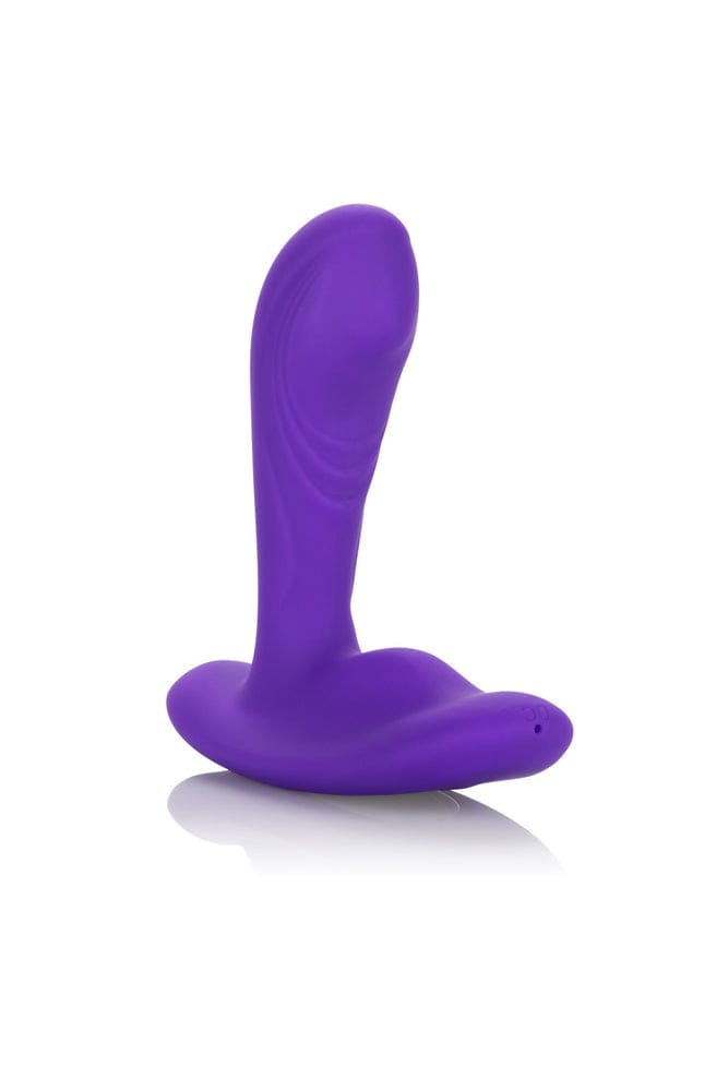 Cal Exotics - Silicone Remote Pinpoint Pleaser Anal Probe - Purple - Stag Shop