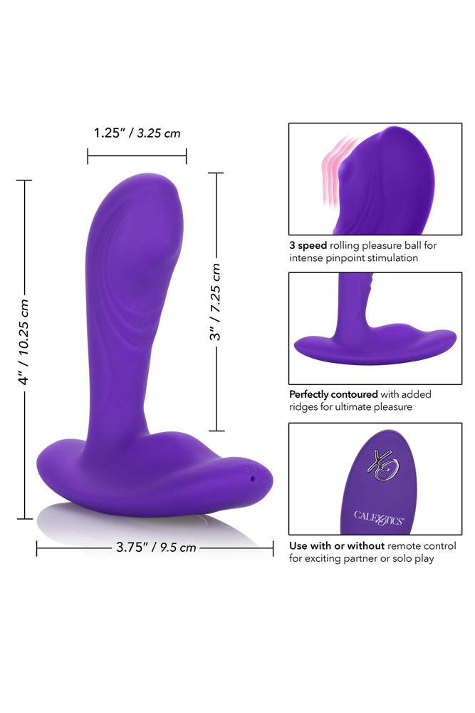 Cal Exotics - Silicone Remote Pinpoint Pleaser Anal Probe - Purple - Stag Shop