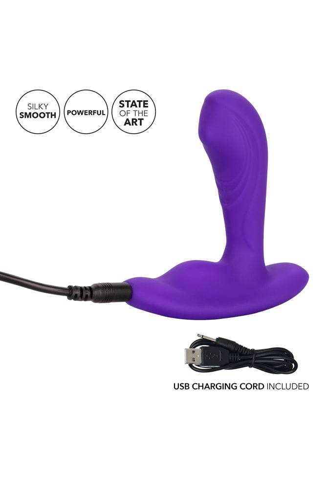 Cal Exotics - Silicone Remote Pinpoint Pleaser Anal Probe - Purple - Stag Shop