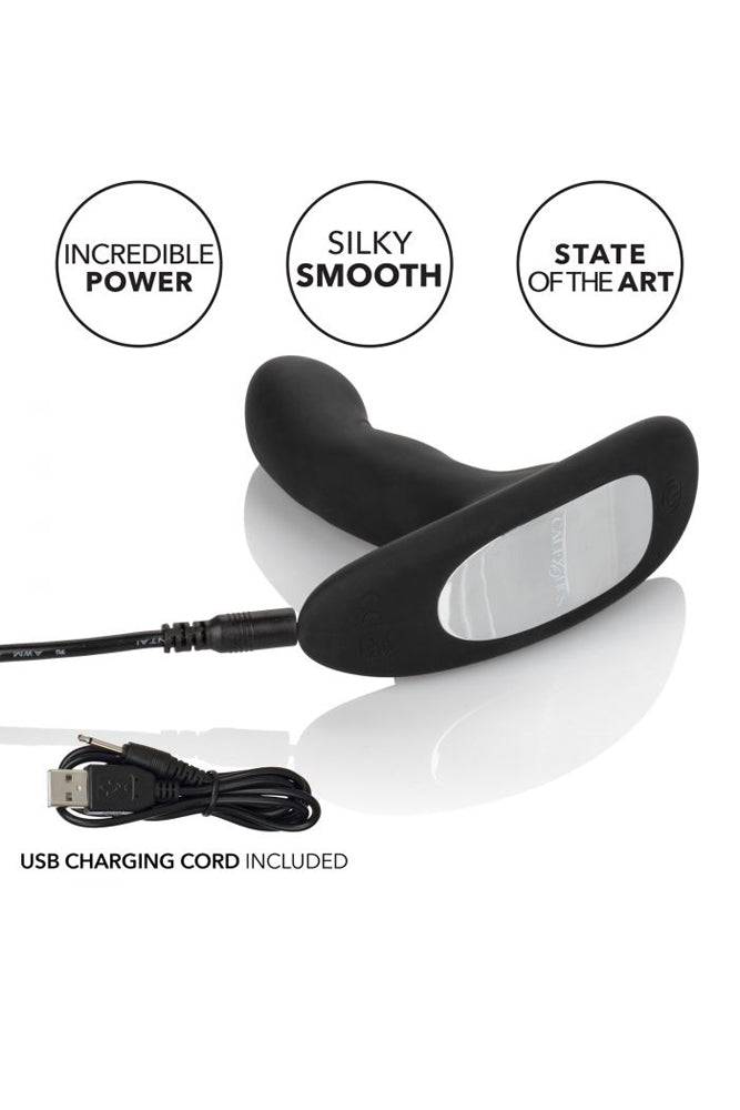Cal Exotics - Eclipse - Rocking Anal Probe - Black - Stag Shop