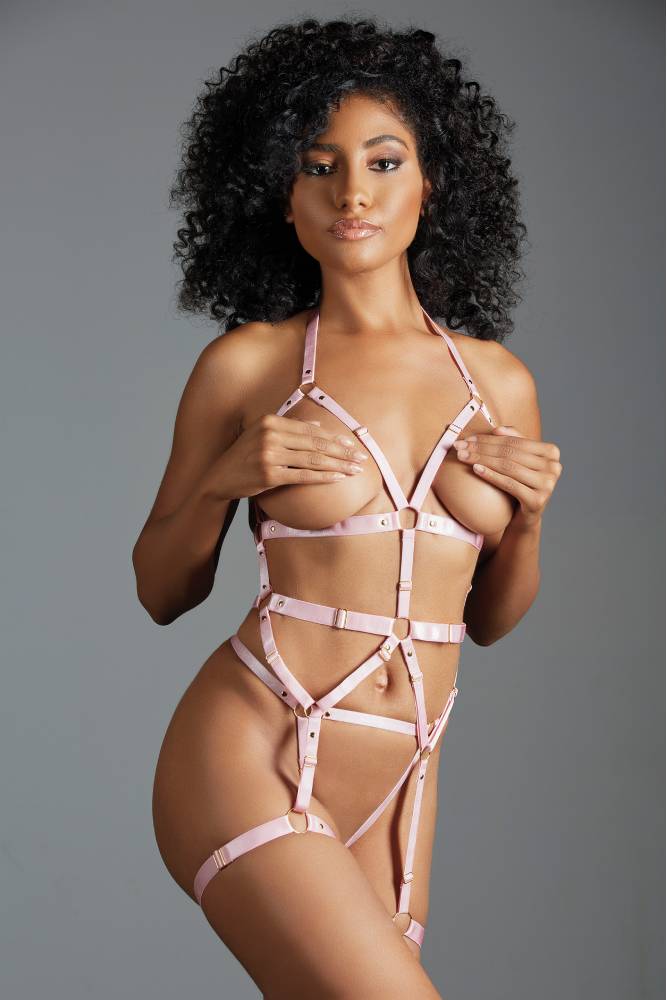 Allure Lingerie - Adore - Claire Bustier Harness with Leg Bands & Open G-String - OS - Stag Shop