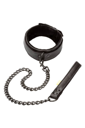 Cal Exotics - Boundless - Collar and Leash - Black - Stag Shop