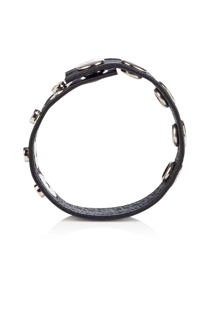 Cal Exotics - Colt - Adjustable 5 Snap Leather Cock/Ball Strap - Stag Shop