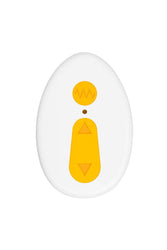 Evolved - Creamsicle Butt Plug & Remote - Orange - Stag Shop