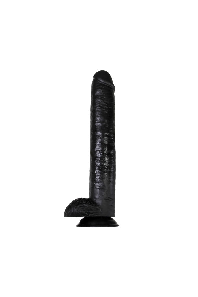Adam & Eve - Dark Rider 15 Inch Dildo - Black - Stag Shop