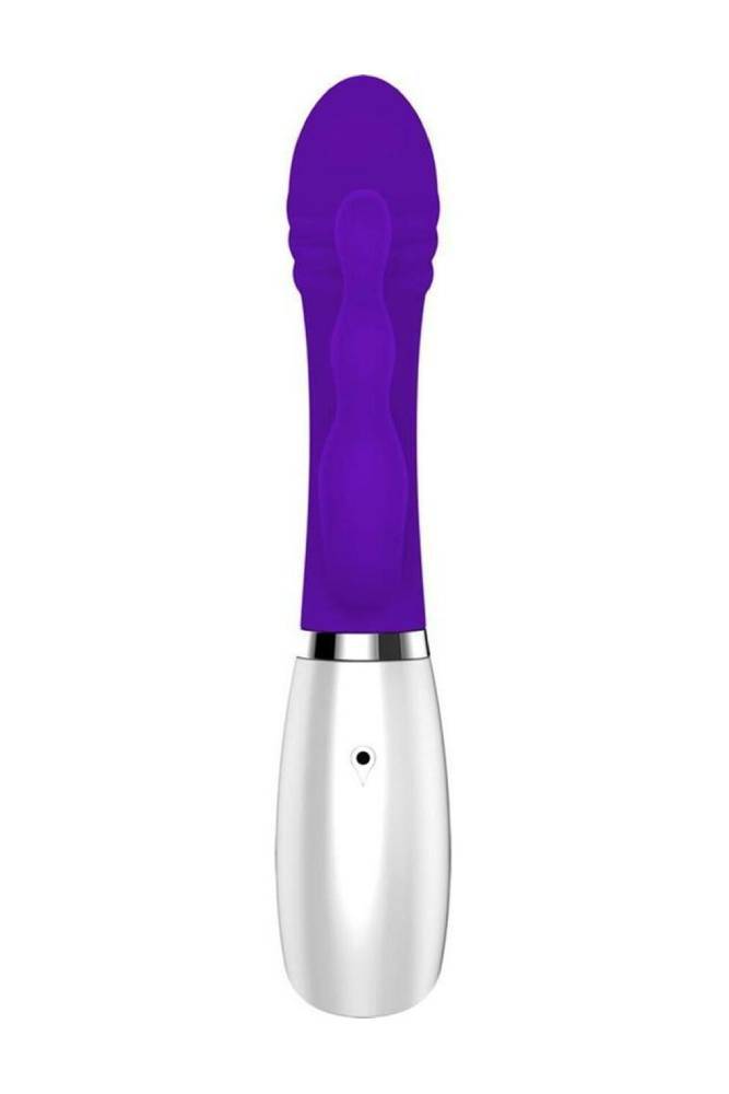 Evolved - Disco Triple Play - Purple - Stag Shop