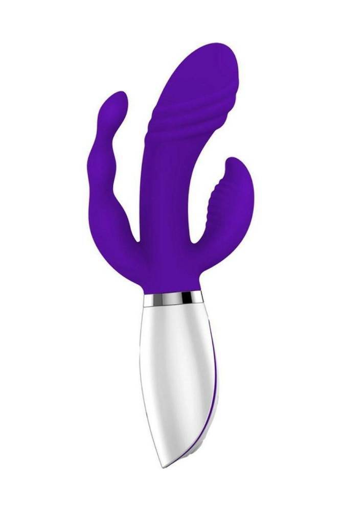 Evolved - Disco Triple Play - Purple - Stag Shop