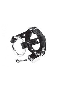 Thumbnail for Electric Eel - Blue Line - Duo Cock & Ball Lock - Black - Stag Shop