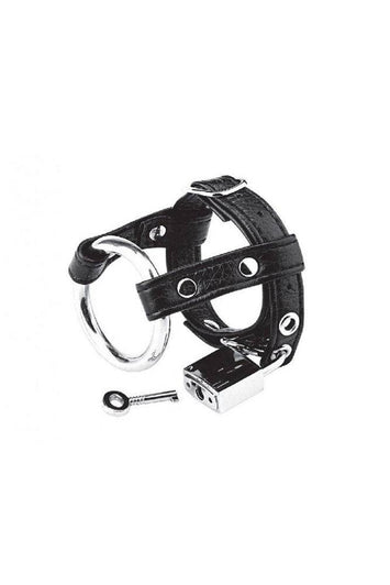 Electric Eel - Blue Line - Duo Cock & Ball Lock - Black - Stag Shop