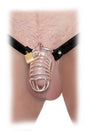 Pipedream - Fetish Fantasy Extreme - Extreme Chastity Belt - Metal Cock Cage & Belt - Stag Shop