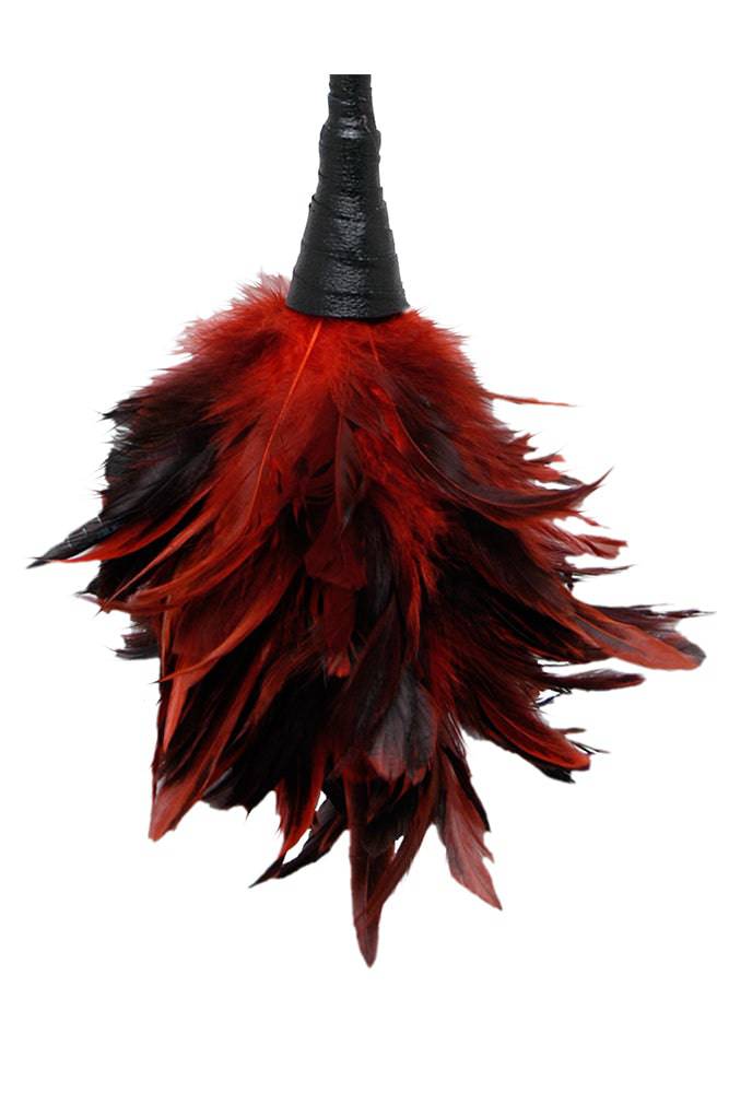 Pipedream - Fetish Fantasy - Frisky Feather Duster - Red - Stag Shop