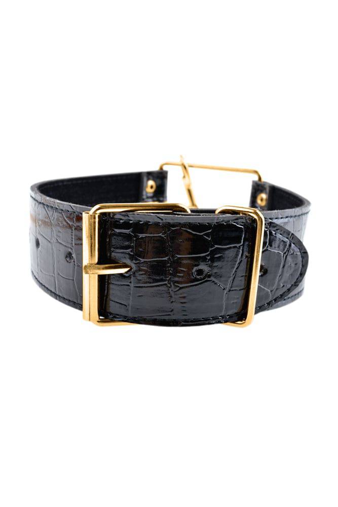 Pipedream - Fetish Fantasy Gold - Collar & Leash Set - Gold/Black - Stag Shop